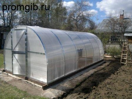 teplitca_arochnaya_