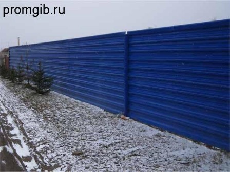 zabor_iz_proflista_3